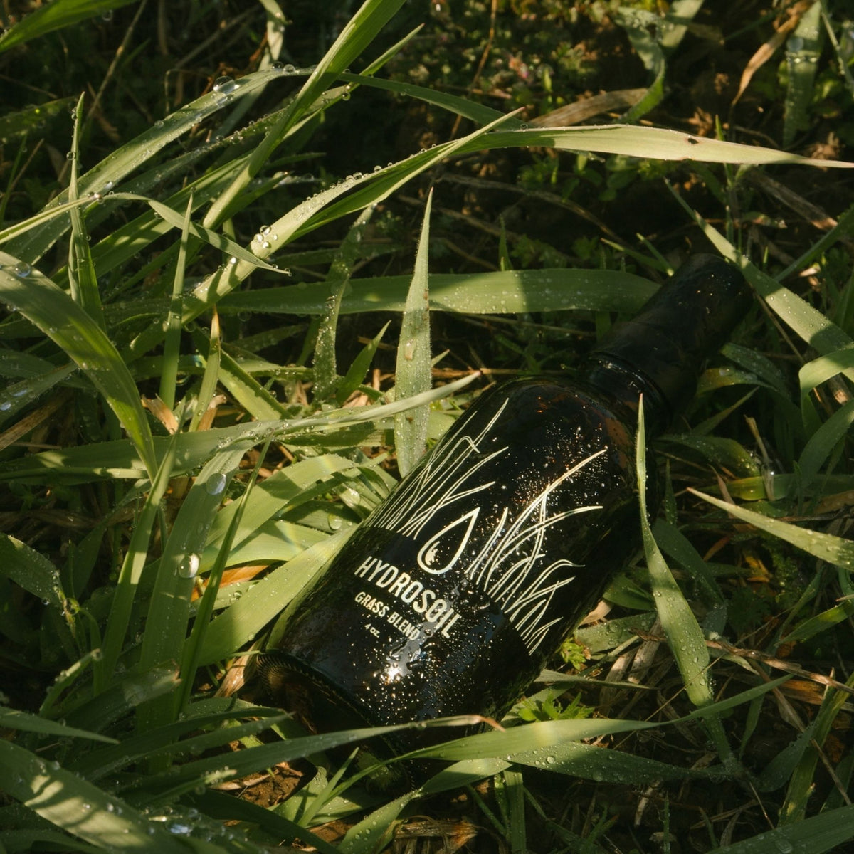 GRASS BLEND