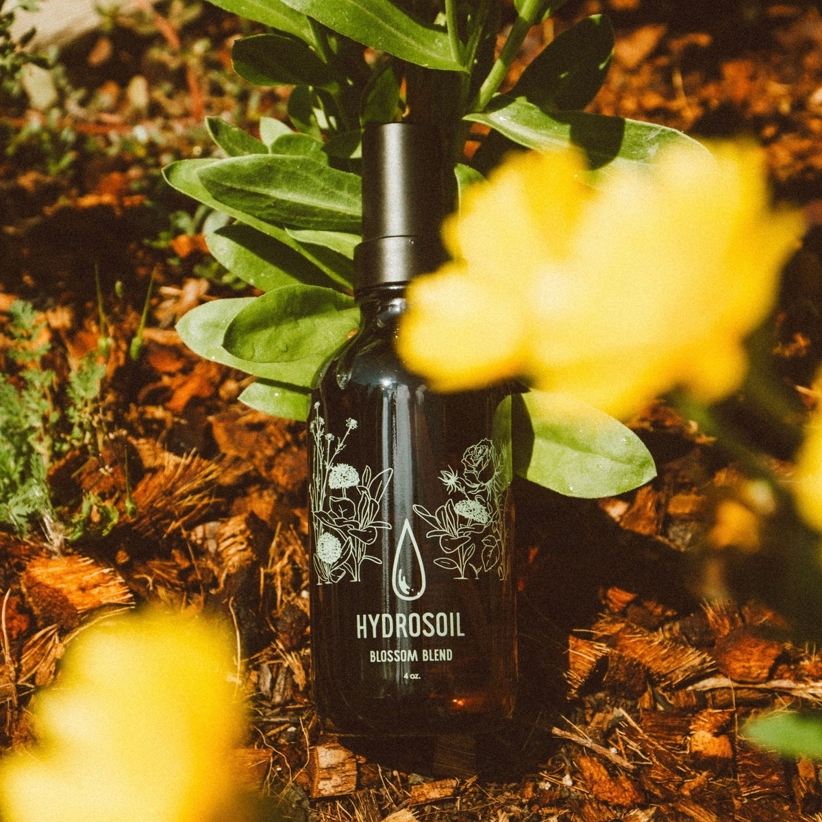 BLOSSOM BLEND